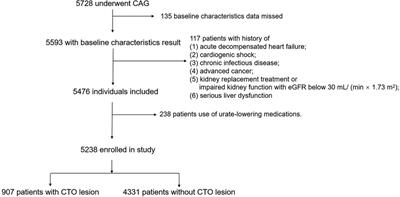 The synergistic effect of the atherogenic index of plasma and hyperuricemia on the prediction of coronary chronic total occlusion lesion: an observational cross-sectional study